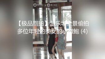 【极品厕拍】游乐场全景偷拍多位年轻的美女的小嫩鲍 (4)