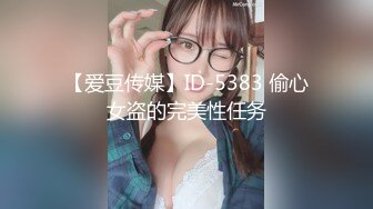 【爱豆传媒】ID-5383 偷心女盗的完美性任务