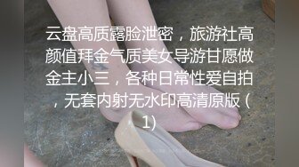 云盘高质露脸泄密，旅游社高颜值拜金气质美女导游甘愿做金主小三，各种日常性爱自拍，无套内射无水印高清原版 (1)