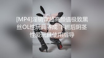 [MP4]淫销课超高颜值极致黑丝OL性玩具养成 下班后阴茎性爱玩具使用指导