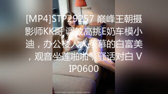 [MP4]STP29257 巅峰王朝摄影师KK哥 调教高挑E奶车模小迪，办公楼人人羡慕的白富美，观音坐莲啪啪，骚话对白 VIP0600