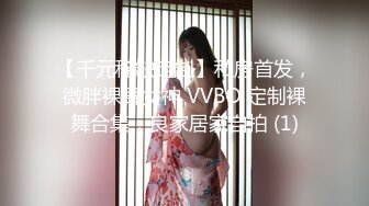 【千元稀缺定制】私房首发，微胖裸舞女神 VVBO 定制裸舞合集，良家居家自拍 (1)