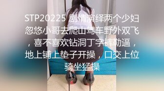 骚老婆的小尾巴