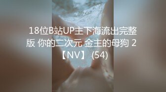 18位B站UP主下海流出完整版 你的二次元 金主的母狗 2 【NV】 (54)