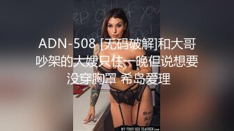 ADN-508 [无码破解]和大哥吵架的大嫂只住一晚但说想要 没穿胸罩 希岛爱理